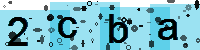 Capcha code