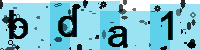 Capcha code