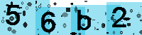 Capcha code
