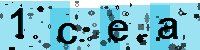 Capcha code