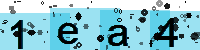 Capcha code