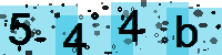 Capcha code