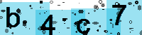 Capcha code