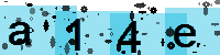 Capcha code
