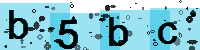 Capcha code