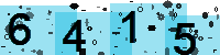 Capcha code