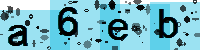 Capcha code