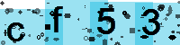 Capcha code