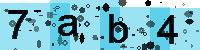 Capcha code