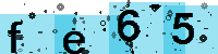 Capcha code