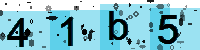 Capcha code
