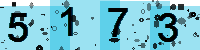 Capcha code