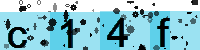 Capcha code