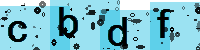 Capcha code