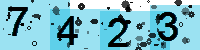 Capcha code