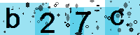 Capcha code
