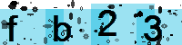 Capcha code