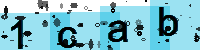 Capcha code