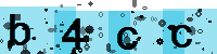 Capcha code