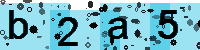 Capcha code