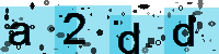 Capcha code