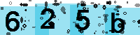 Capcha code