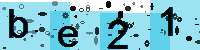Capcha code
