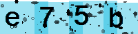 Capcha code