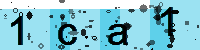 Capcha code