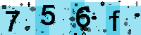 Capcha code
