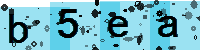 Capcha code