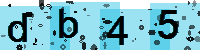 Capcha code