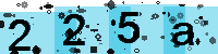 Capcha code