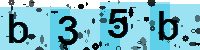 Capcha code