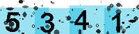 Capcha code