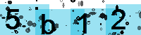 Capcha code
