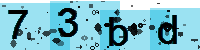 Capcha code