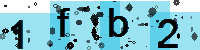 Capcha code