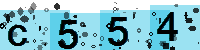 Capcha code