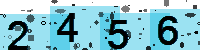 Capcha code