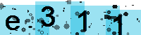 Capcha code