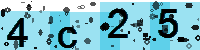 Capcha code
