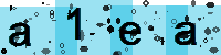 Capcha code