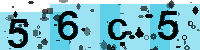 Capcha code