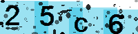 Capcha code