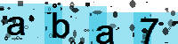 Capcha code