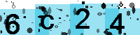 Capcha code