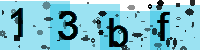 Capcha code