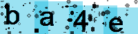 Capcha code