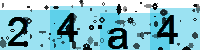 Capcha code